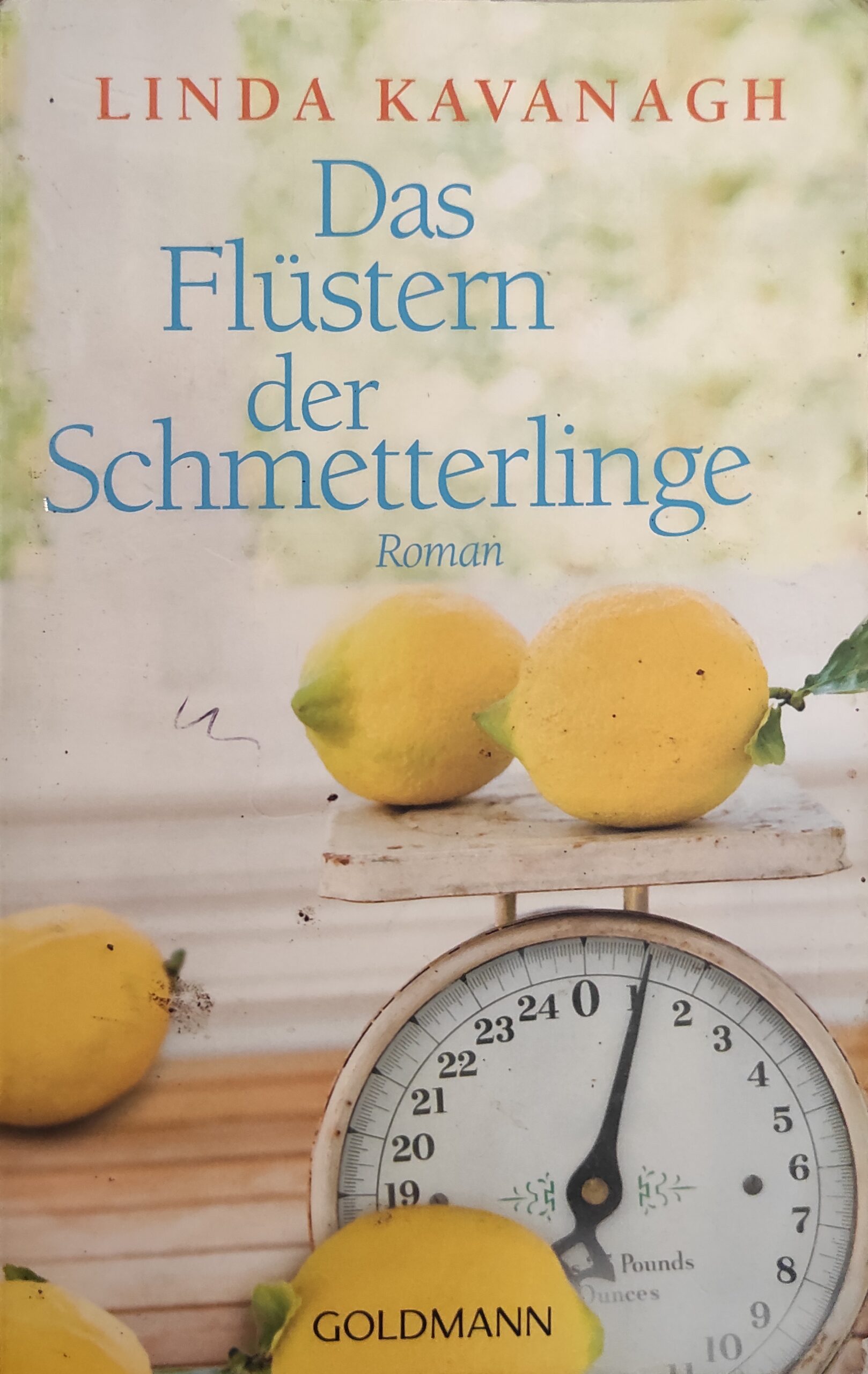 Das Flustern der Schmetterlinge