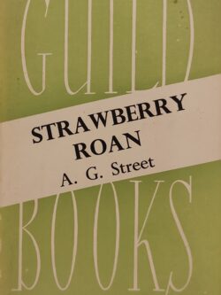 Strawberry Roan