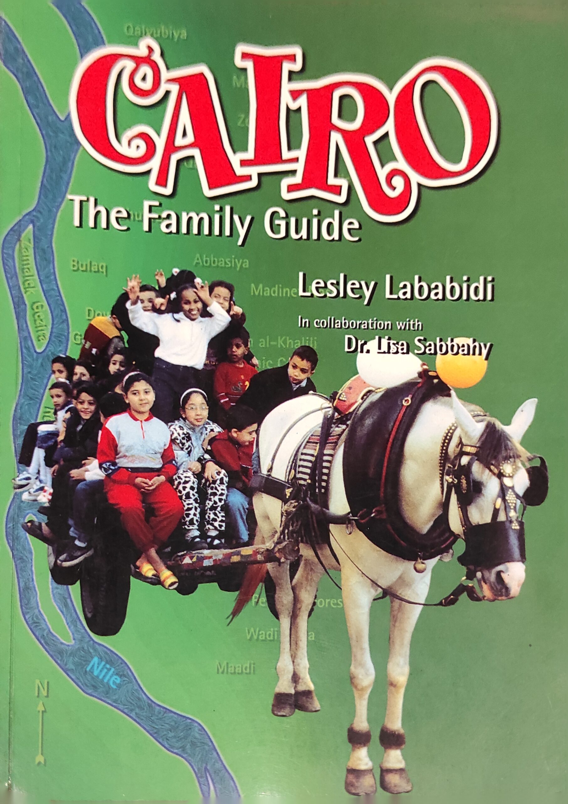 Cairo: The Family Guide