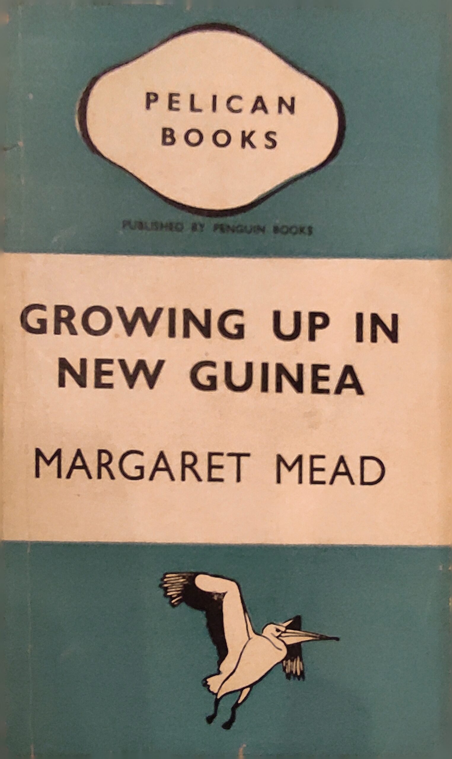 Growing up in New Guinea