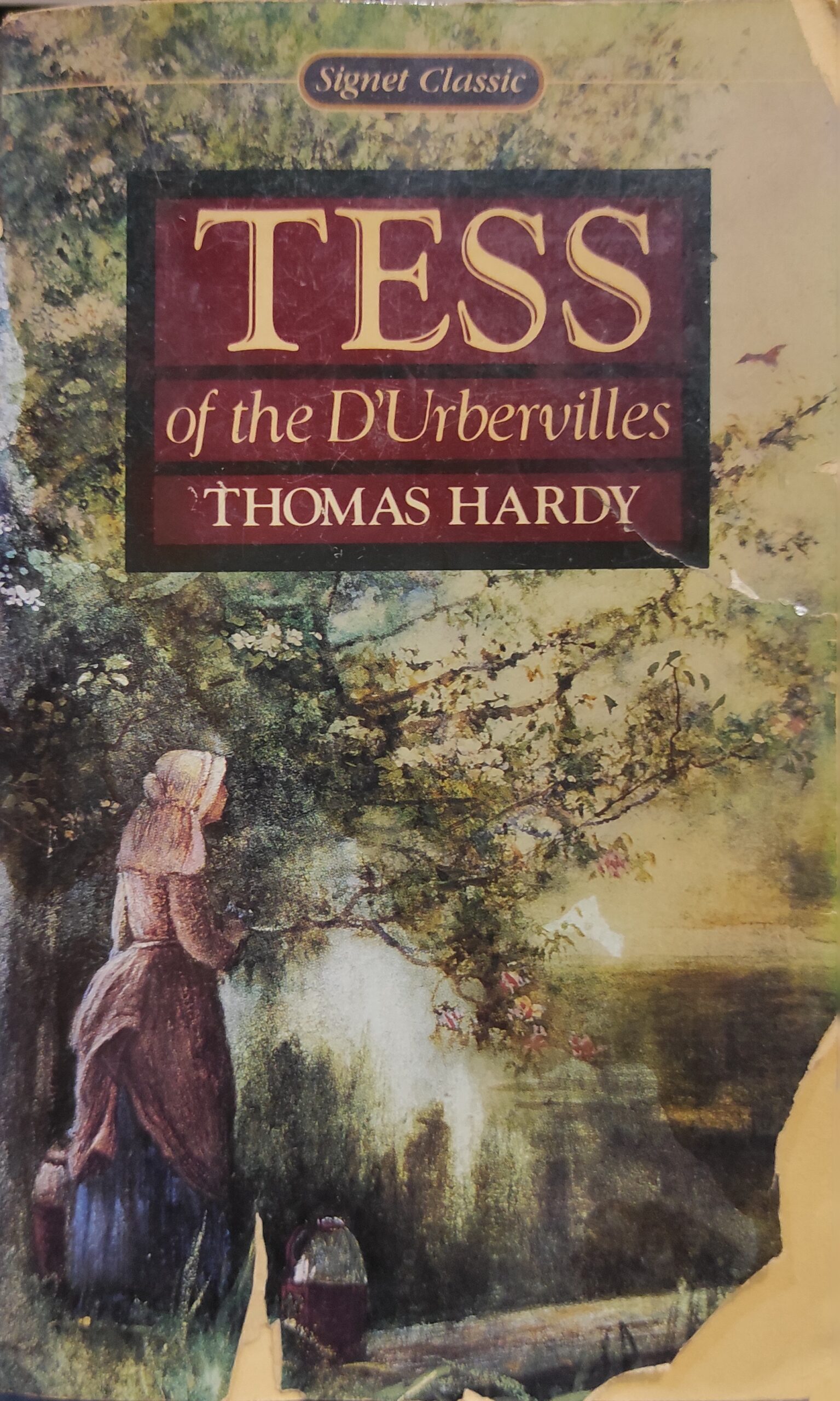 Tess of the d'Urbervilles
