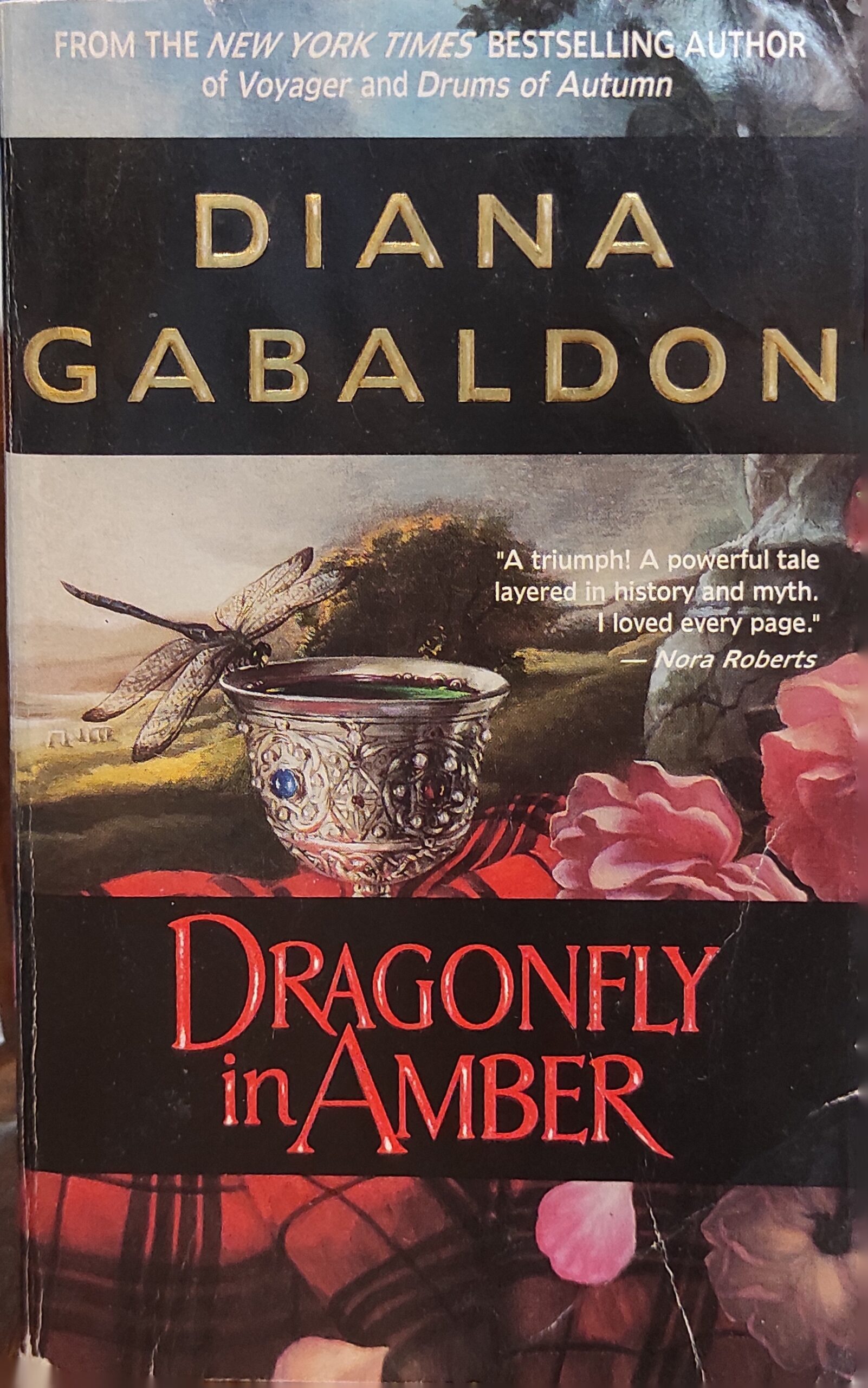 Dragonfly in Amber