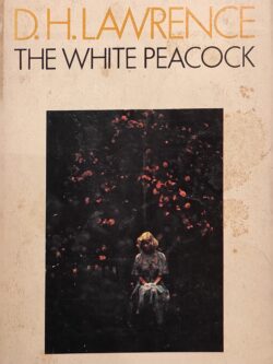 The White Peacock