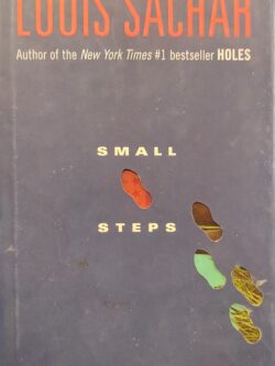 Small Steps