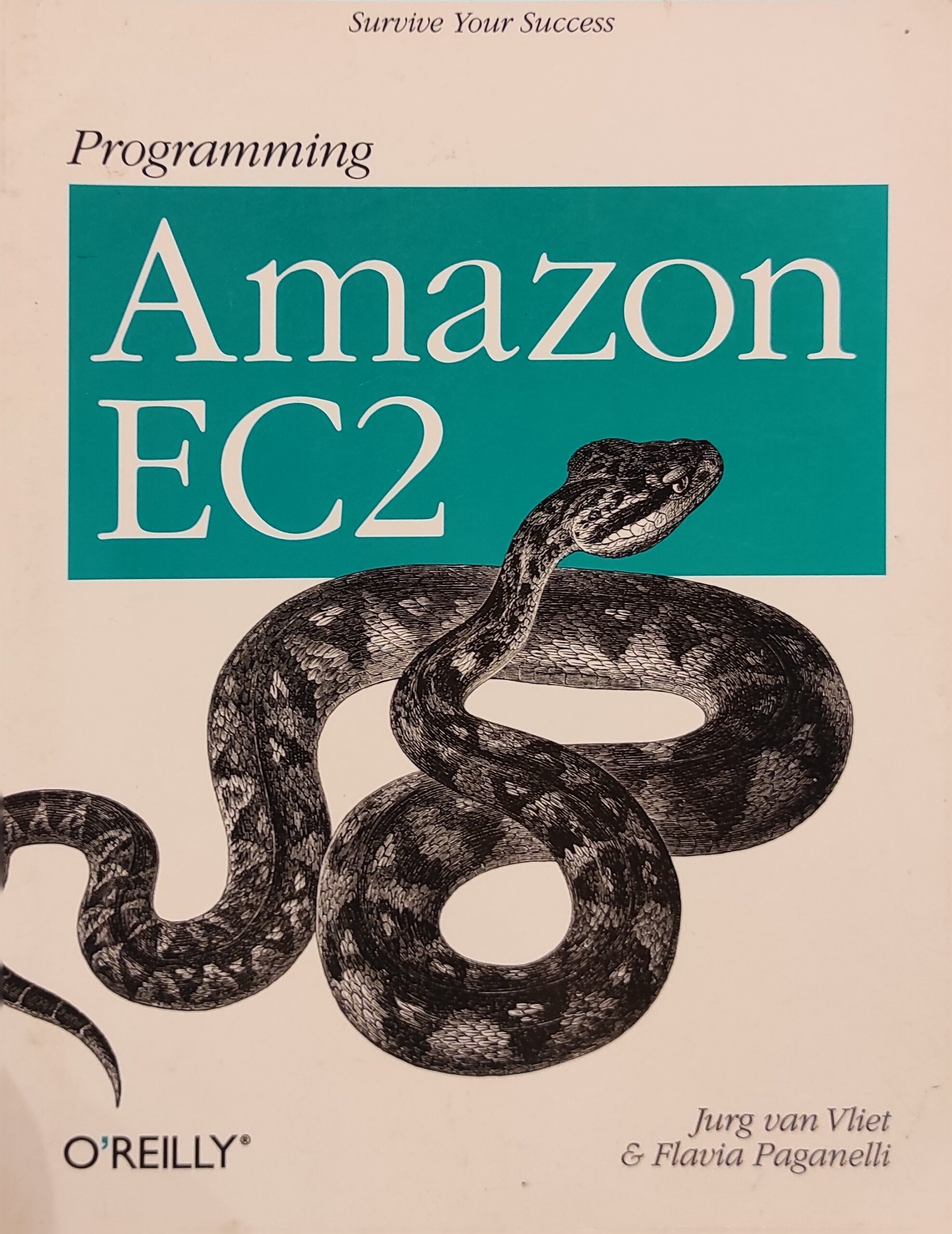 Programming Amazon EC2