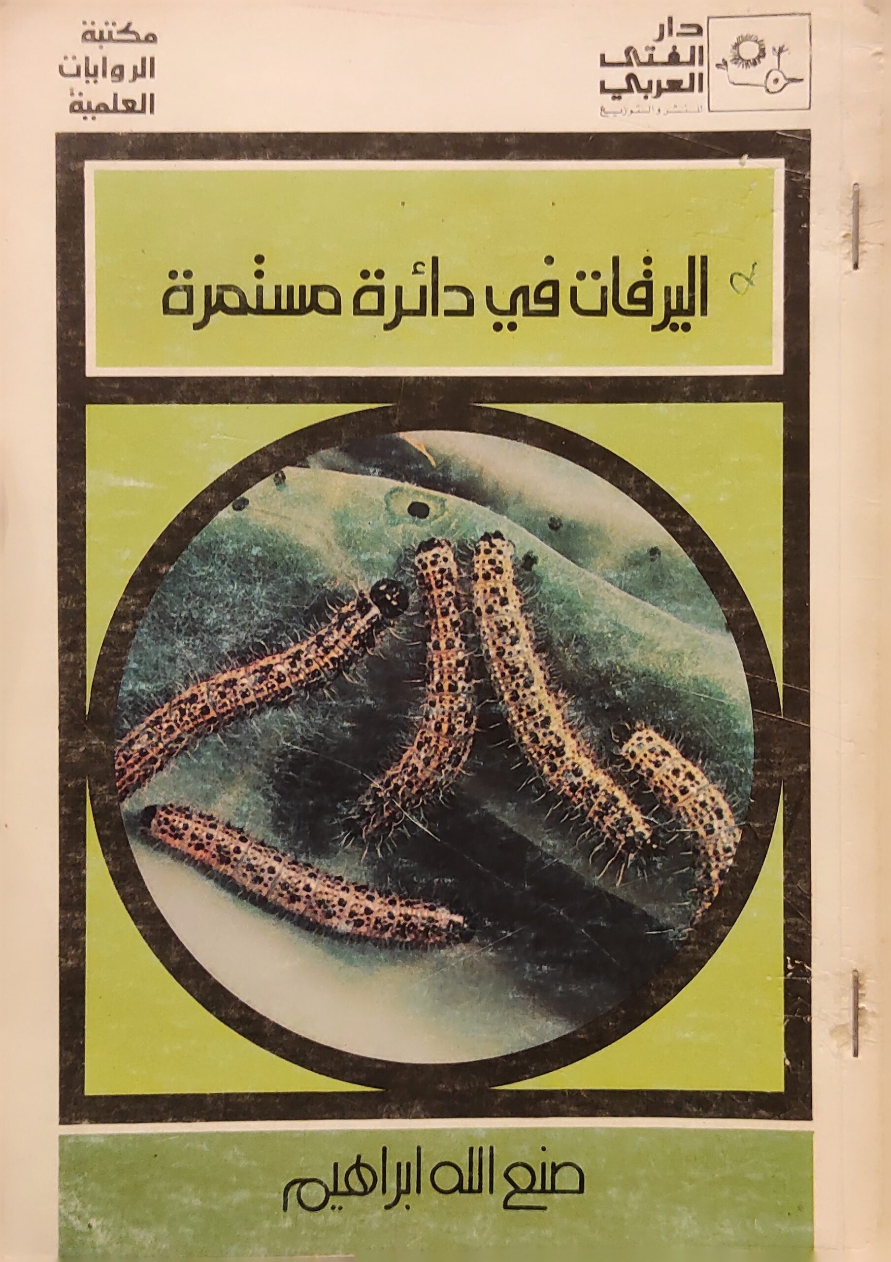 اليرقات في دائرة مستمرة