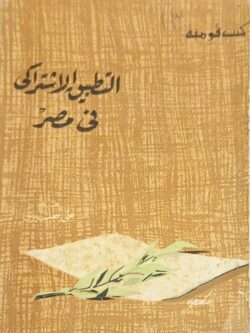 التطبيق الاشتراكي في مصر