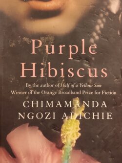 Purple Hibiscus
