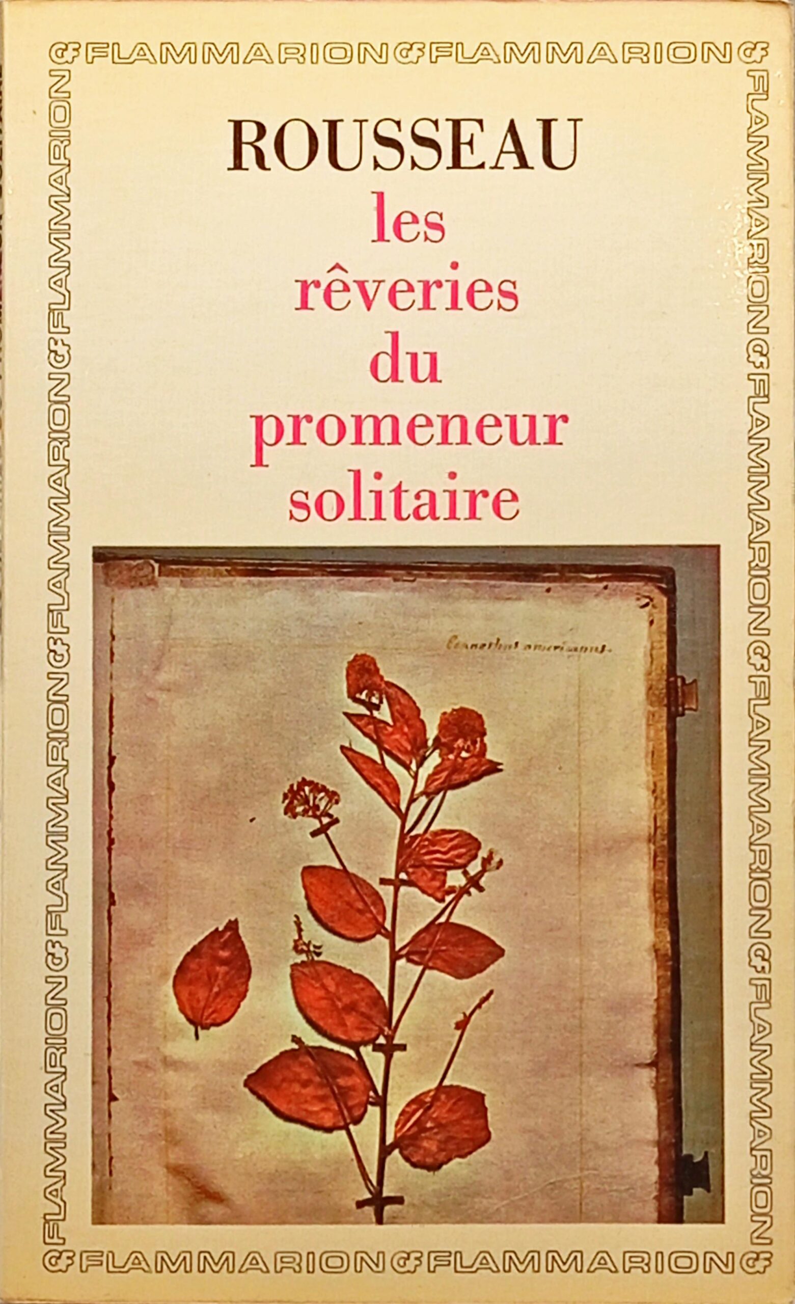 Les Reveries du Promeneur Solitaire