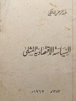 السياسة الاقتصادية المثلى