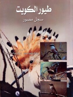 طيور الكويت