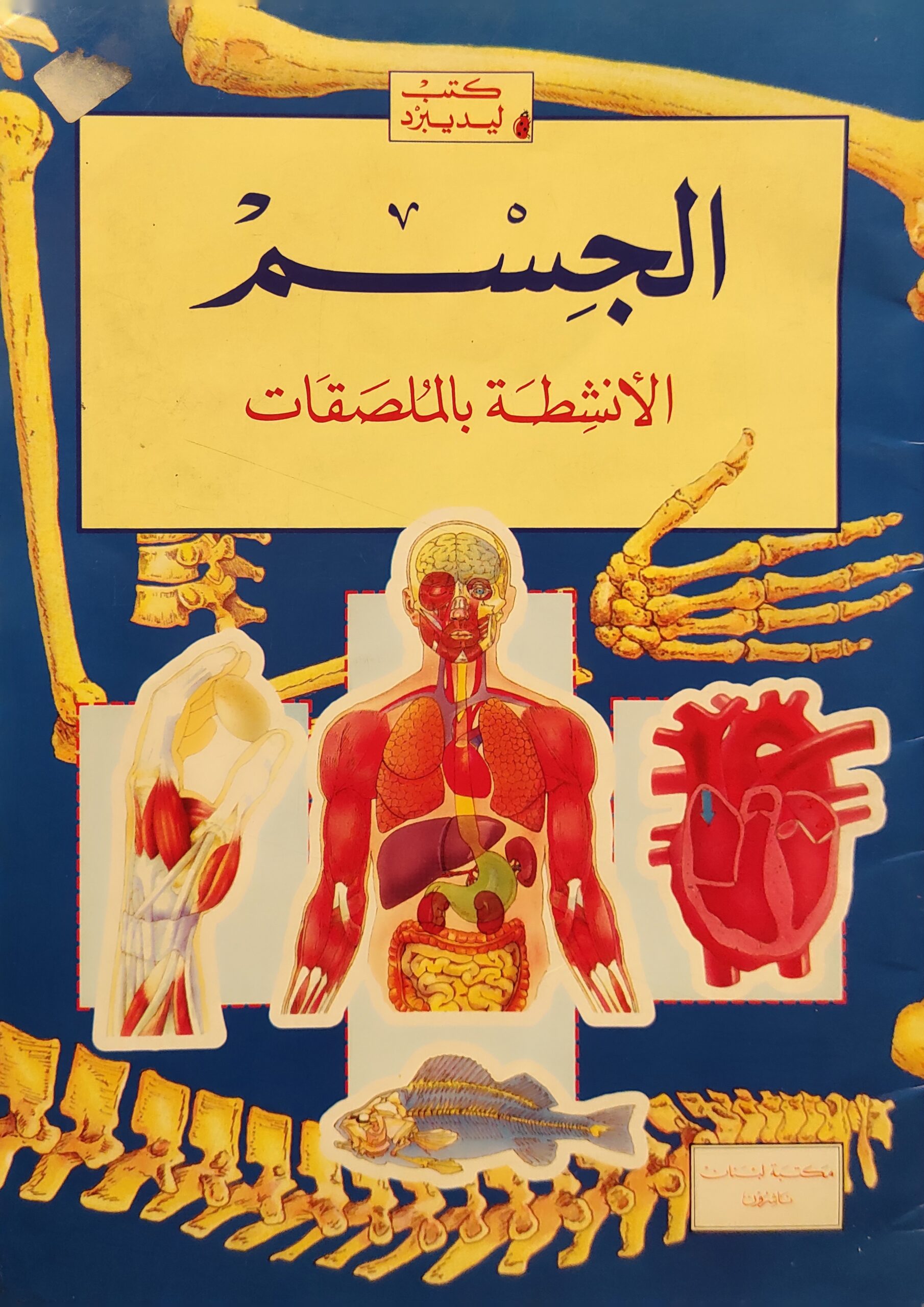 الجسم الأنشطة بالملصقات (الملصقات مستخدمه)