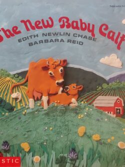 The New Baby Calf