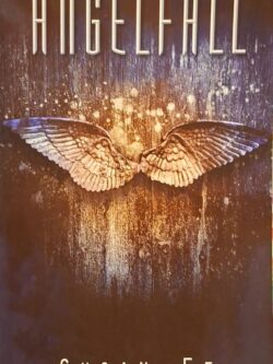 Angel fall