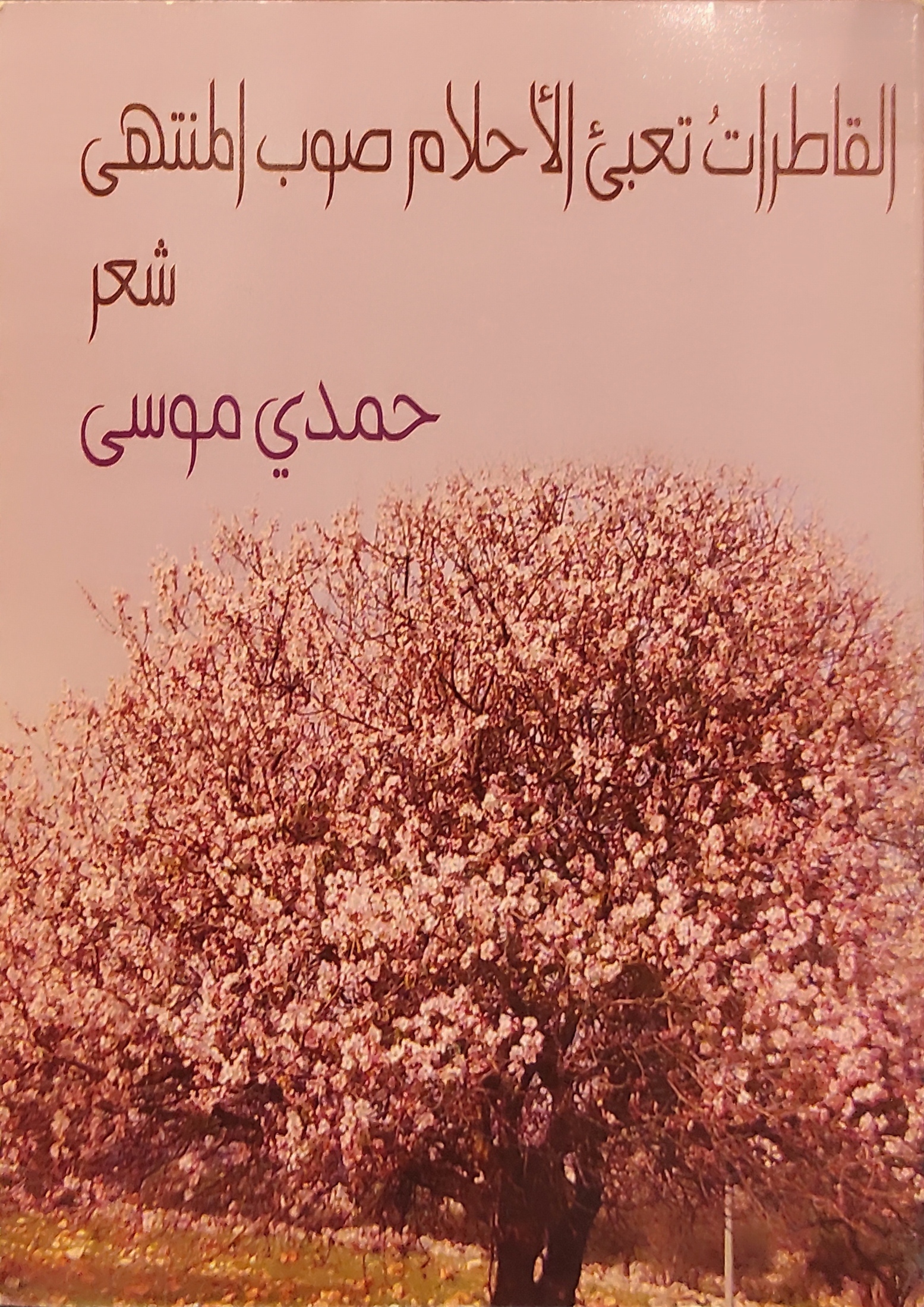 القاطرات تعبئ الأحلام صوب المنتهى