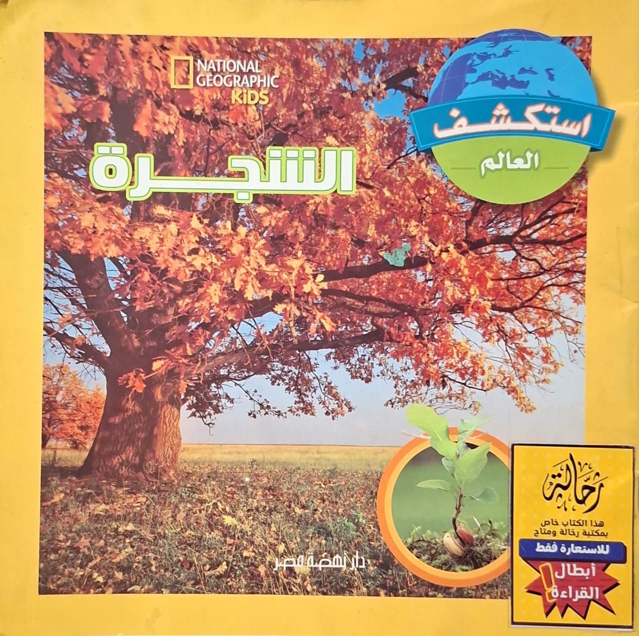 استكشف العالم : الشجرة (أبطال القراءة)