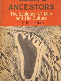 Adam's Ancestors : The Evolution of Man and His Culture