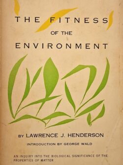 The Fitness of the Environment
