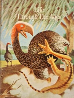 Life Through the Ages